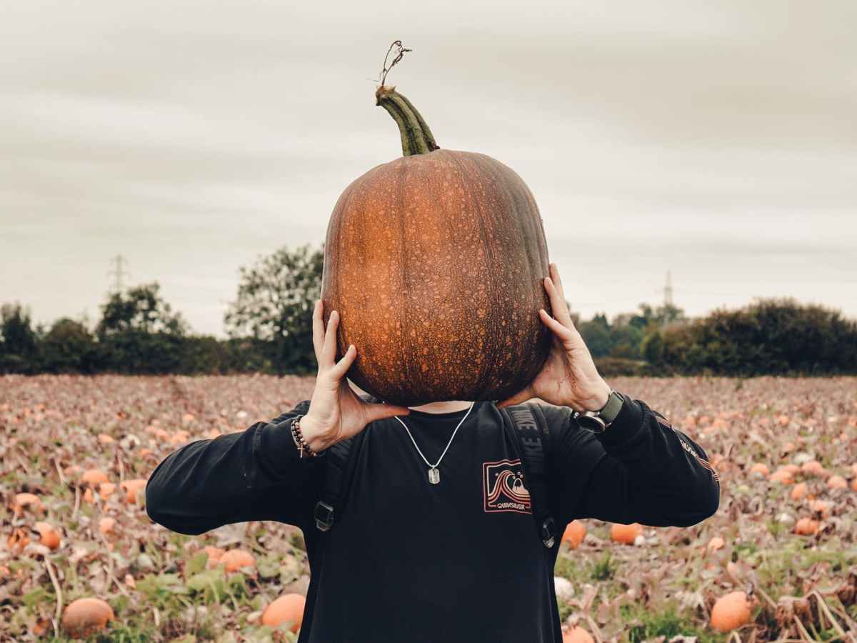 Stiff Like a Scarecrow? Proper Movement at the Pumpkin Patch